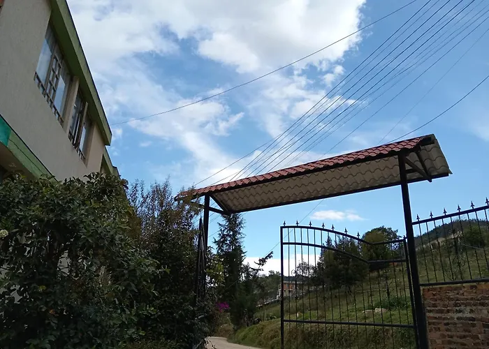 Ecomomentos